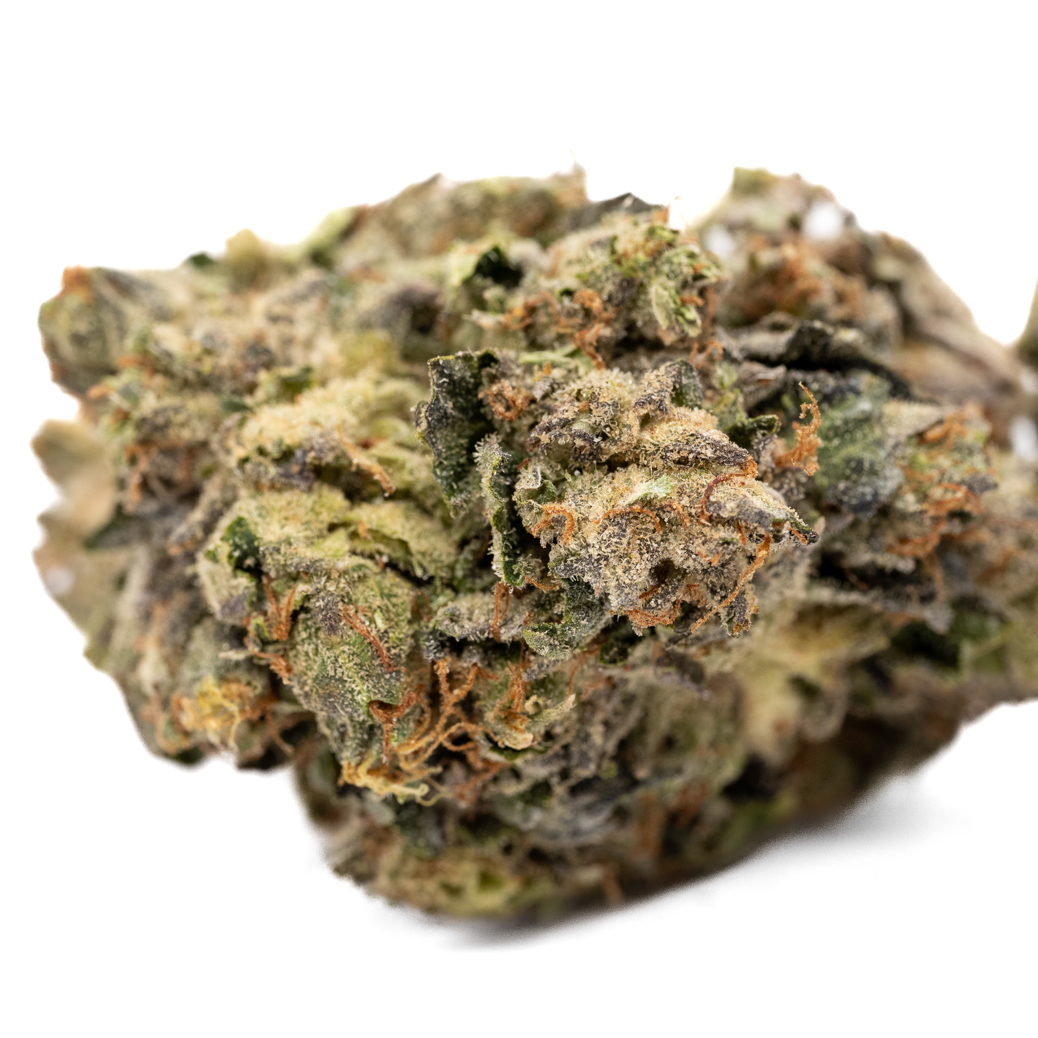 Island Rockstar Organic