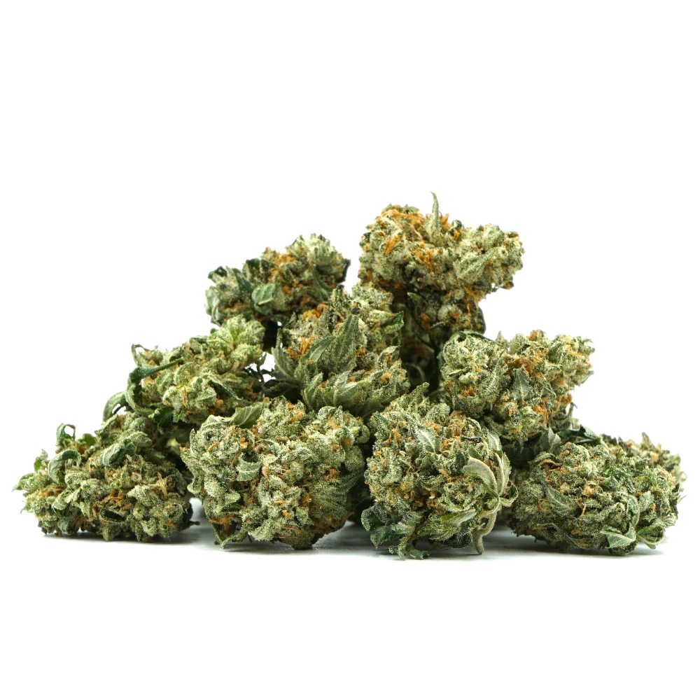 Midnight Gushers Smalls